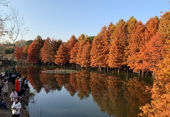 钟山风景名胜区第 125 张图片