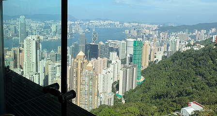 太平山顶第 206 张图片