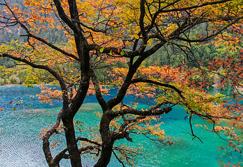 九寨沟风景区第 154 张图片