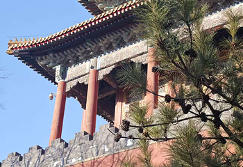 故宫博物院第 469 张图片