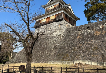 熊本城第 20 张图片