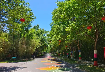 泗洪洪泽湖湿地景区第 81 张图片