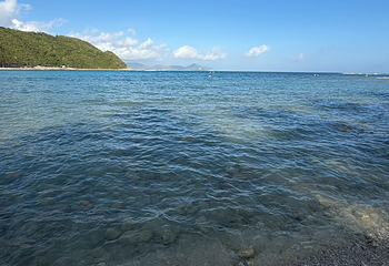 小东海第 47 张图片