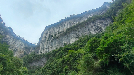 仙女山国家森林公园第 97 张图片