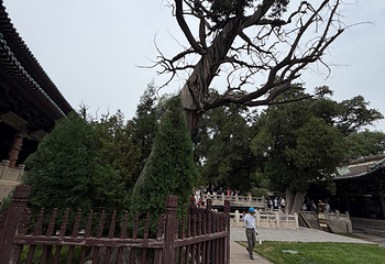 晋祠博物馆第 585 张图片