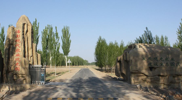 彤锣湾艺术花海