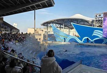 上海海昌海洋公园第 445 张图片