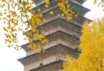 香积寺第 8 张图片