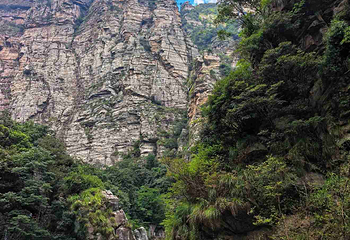 庐山风景名胜区第 227 张图片