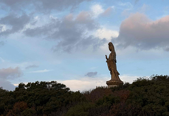 普陀山风景区第 421 张图片