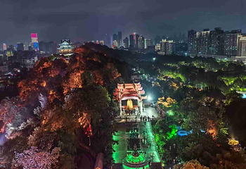 黄鹤楼第 353 张图片