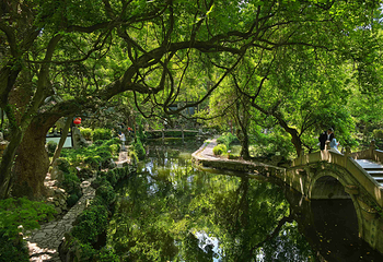 绮园景区第 55 张图片