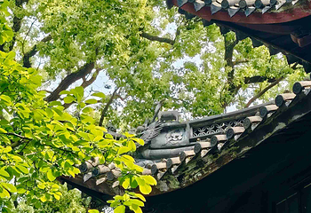 天一阁博物院第 119 张图片