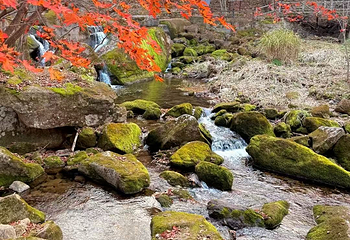本溪老边沟风景区第 55 张图片