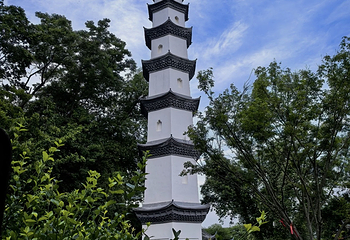 桐君山第 42 张图片
