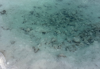 大柴旦翡翠湖旅游景区第 67 张图片