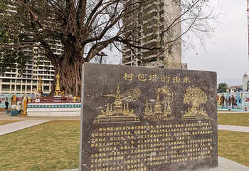 树包塔第 11 张图片