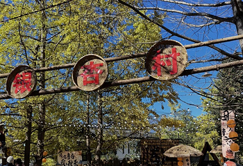 银杏村第 58 张图片