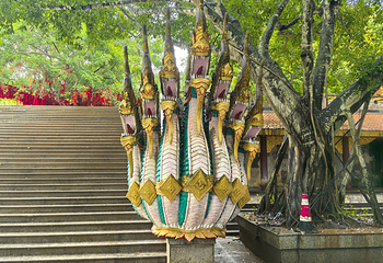 西双版纳勐泐文化旅游区第 45 张图片