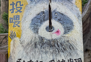上海野生动物园第 78 张图片