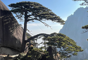 黄山风景区第 254 张图片
