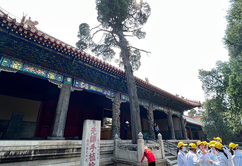 夫子庙大成殿第 23 张图片