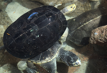 河内时代之城水族馆第 7 张图片