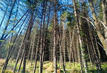 吊水壶风景区第 51 张图片