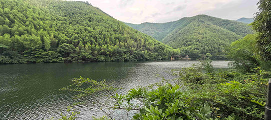 天目湖南山竹海第 121 张图片
