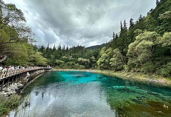 九寨沟风景区第 347 张图片