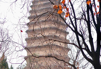 小雁塔遗址公园第 45 张图片