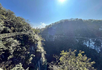 天门山国家森林公园第 364 张图片