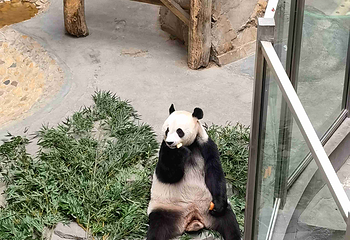 天目湖南山竹海第 147 张图片