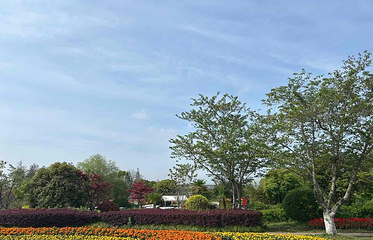 周浦花海第 132 张图片
