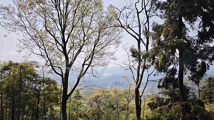 莫干山风景名胜区第 66 张图片