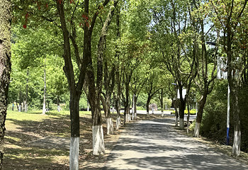 十九峰第 19 张图片