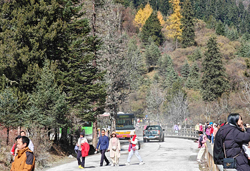四姑娘山双桥沟景区第 133 张图片