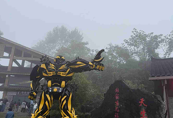 武隆天生三桥第 146 张图片