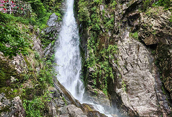 宜春明月山旅游区第 101 张图片