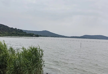 西山第 94 张图片