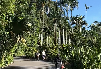 花柏山公园第 161 张图片