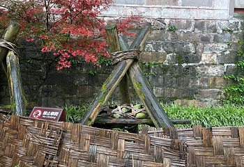 都江堰景区第 137 张图片