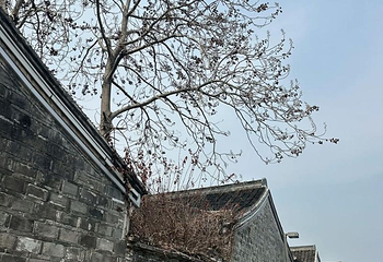 慈城古县城第 11 张图片