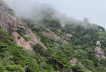 黄山风景区第 262 张图片