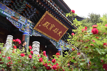 白塔山公园第 8 张图片
