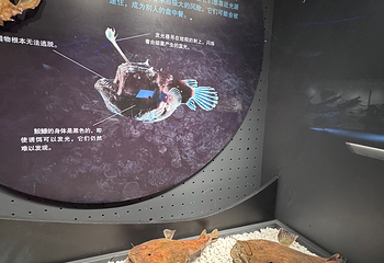 国家海洋博物馆第 123 张图片