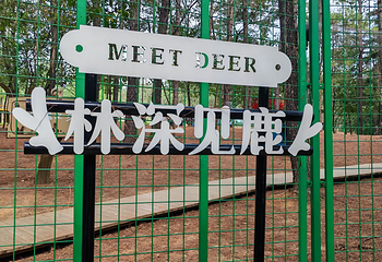 茅山森林世界第 145 张图片