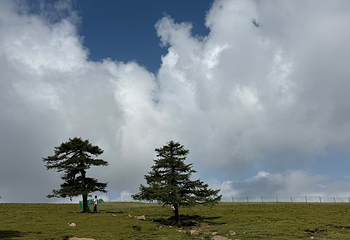 芦芽山旅游度假区第 138 张图片