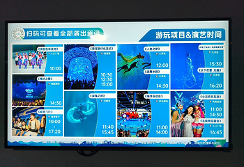 小梅沙海洋世界第 108 张图片