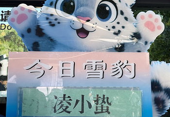 青藏高原野生动物园第 76 张图片